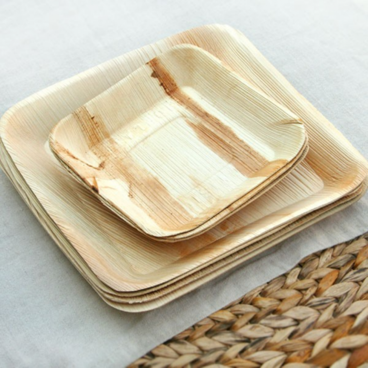 Palm leaf plates India