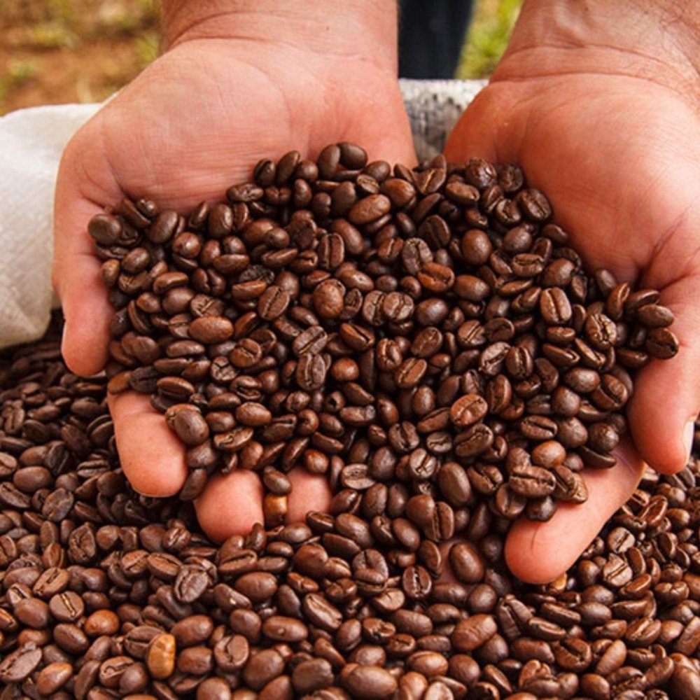Roasted Coffee Beans Spiceorg India
